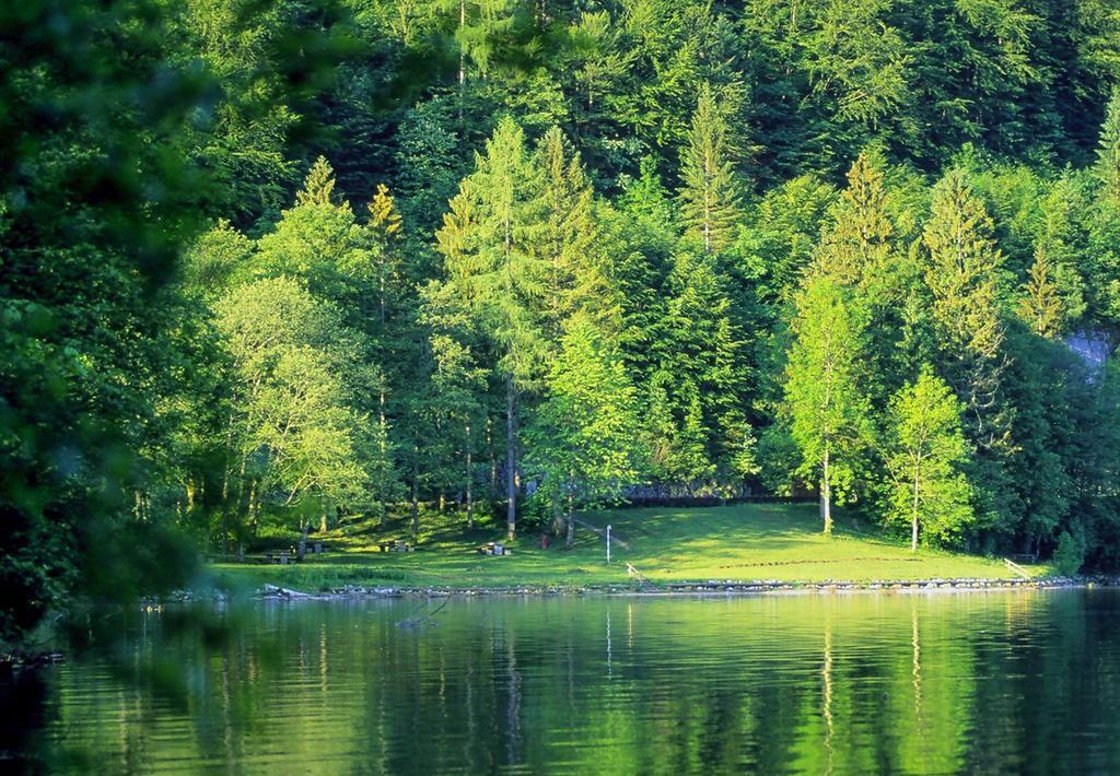 Park Am See Obertraun Zewnętrze zdjęcie