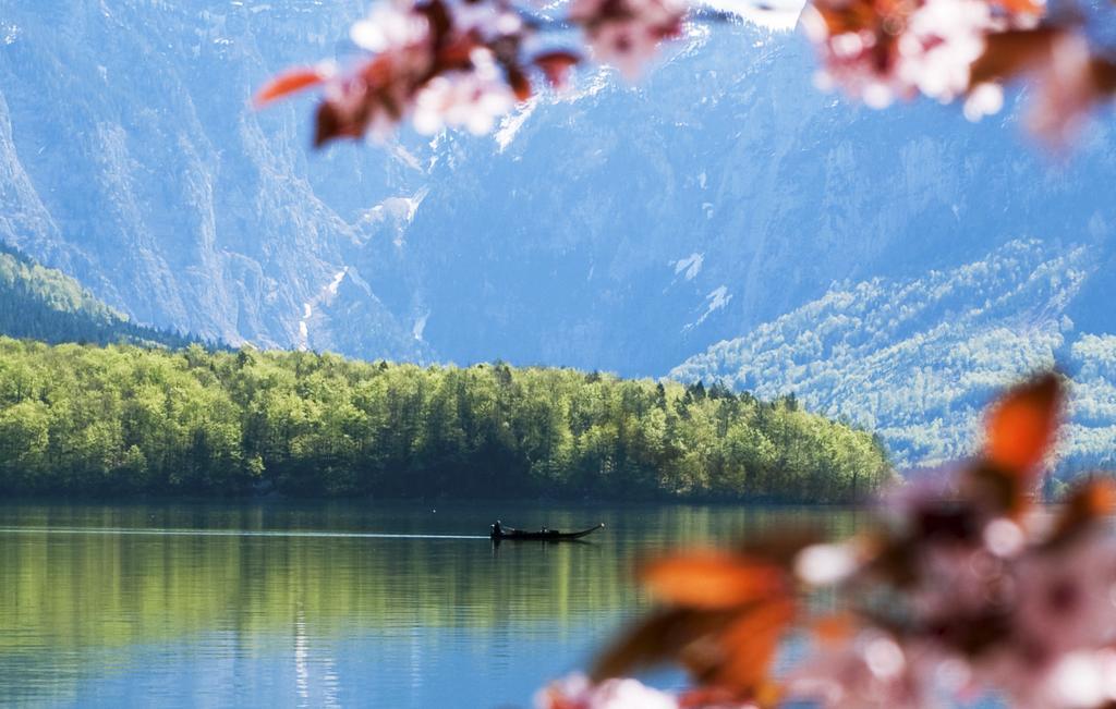 Park Am See Obertraun Zewnętrze zdjęcie
